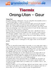 Orang-Utan - Gaur.pdf